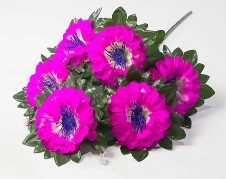 Астра с фиолетовой тычинкой 6 цветков от магазина KALINA являющийся официальным дистрибьютором в России 