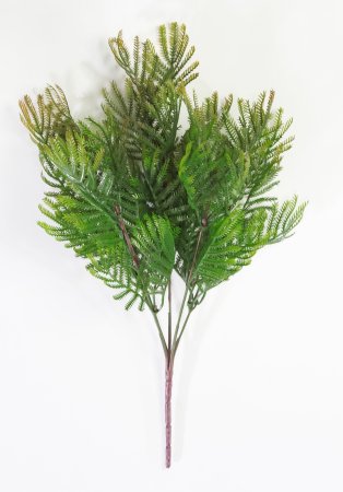 картинка Букет альбиции "Осень" от магазина KALINA