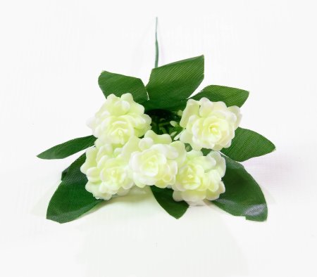 Роза садилка 5 цв.