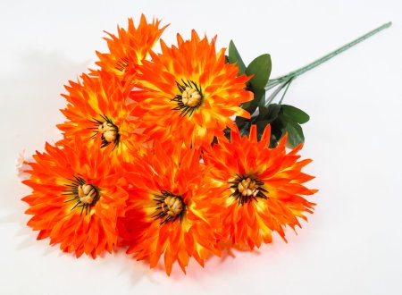 Букет астры " Краб"