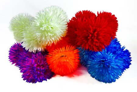 Хризантема Конгресс 6 цветков