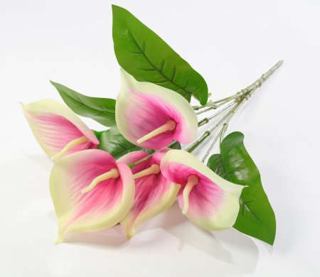 Букет калл Юбилейный 5 цветков