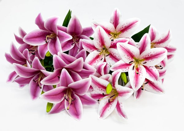 Лилия "Супер гигант" 9 цветков