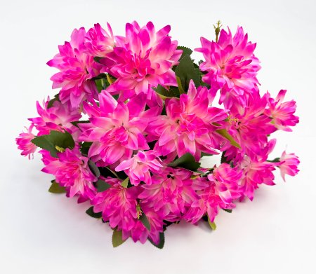 Георгин "Иволга" 15 цветков