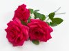 Роза штучка "Палома" малиновая