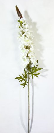 Дельфиниум Осень