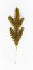 Еловая ветка золото