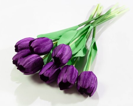 a9bde88d8dc70a74298351d24765ff31