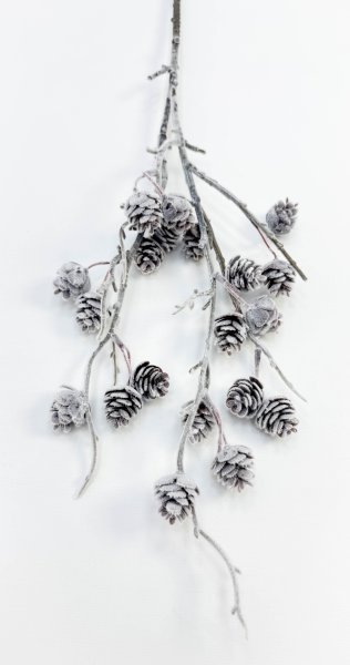 Ветка с еловыми шишками