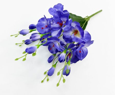 Гладиолус ""Адмирал Ушаков" 5 веток