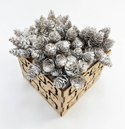 Шишка белая