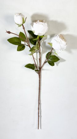 Ветка пионовидной розы "Рояль" молочная