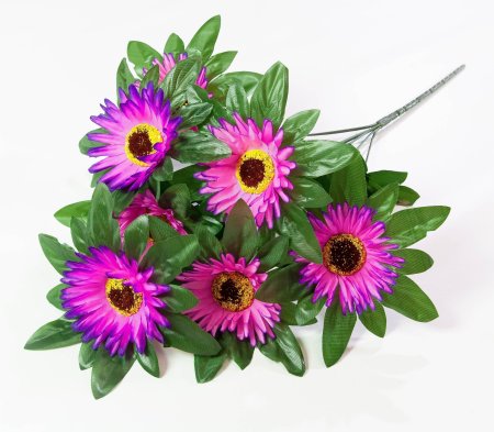 Астра "Титаник" 7 веток