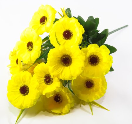 Тунбергия 12 цветков