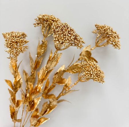 Тысячелистник золото