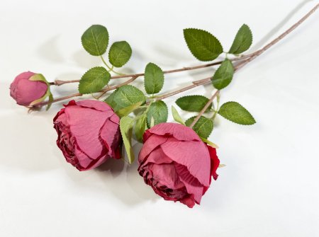 Ветка пионовидной розы Рояль бордо