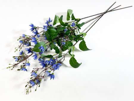 Дейция гибридная голубая