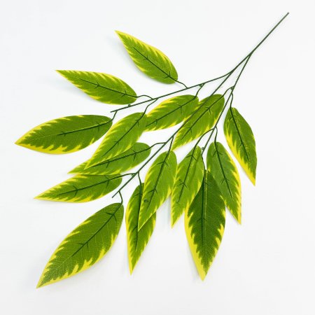 картинка Лист диффенбахии с желтыми краями от магазина KALINA