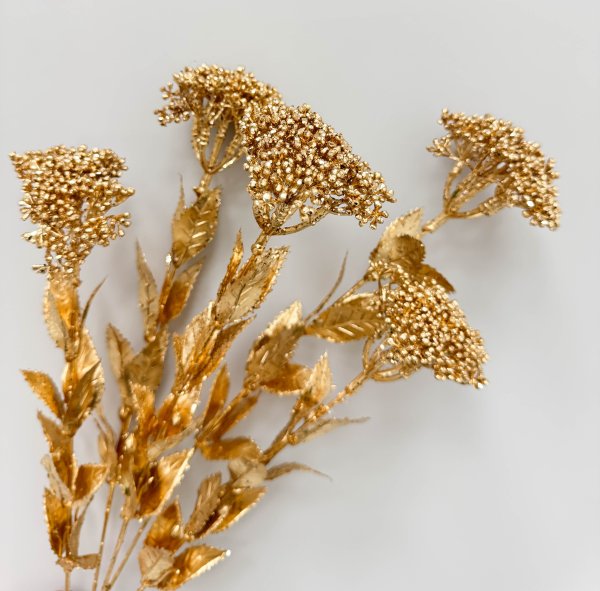 Тысячелистник золото