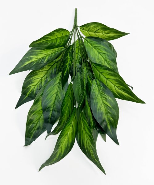 картинка Диффенбахия 7 веток от магазина KALINA