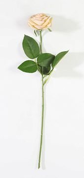 Роза с латексным покрытием открытая персик от магазина KALINA являющийся официальным дистрибьютором в России 