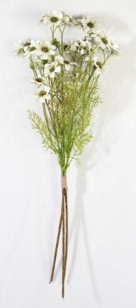 Букет мелкой белой космеи (3 ветки)