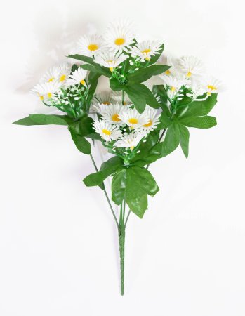 Ромашки "Анациклюс" пластиковый 5 веток