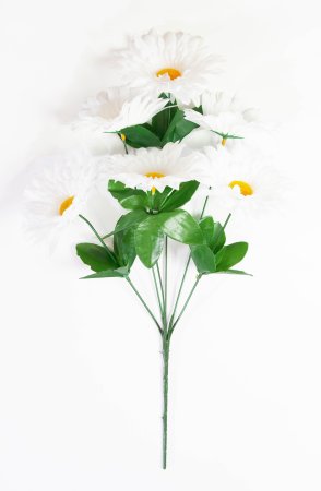 Ромашка "Белая дама" 6 веток