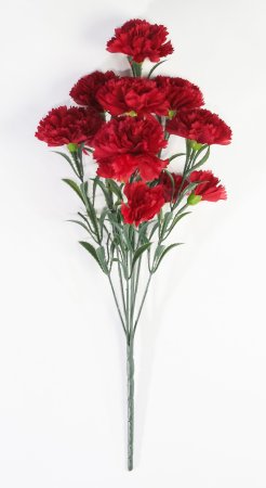 Букет гвоздик "Вечная память"