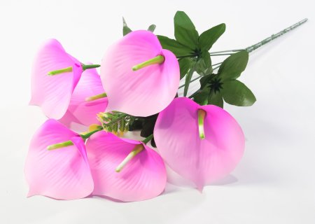 Букет калл Крижинка 6 цветков