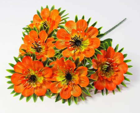 Георгин "Голубое знамя" 6 цветков