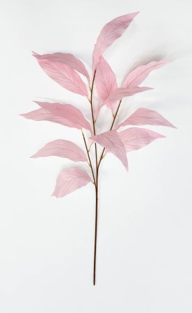 Аглаонема декоративная светло-розовая