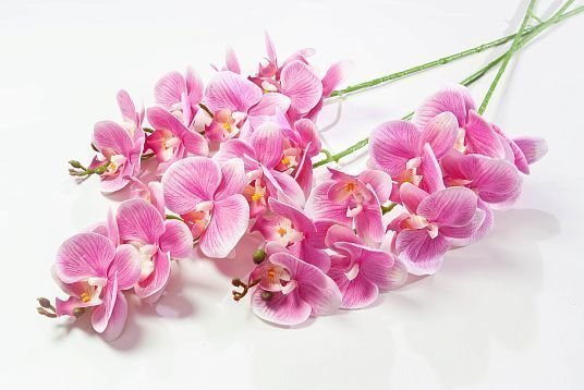 Ветка орхидеи 7 от магазина KALINA являющийся официальным дистрибьютором в России 
