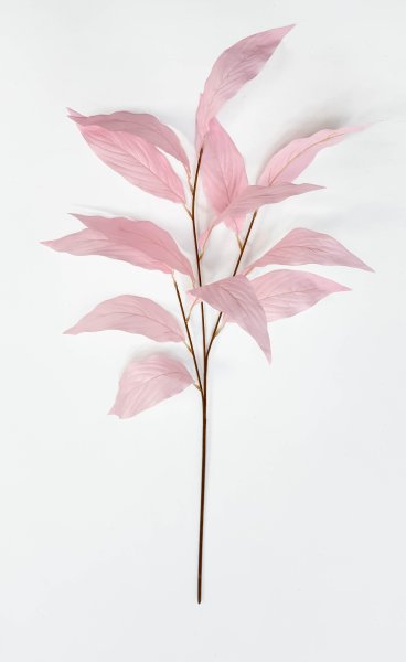 Аглаонема декоративная светло-розовая