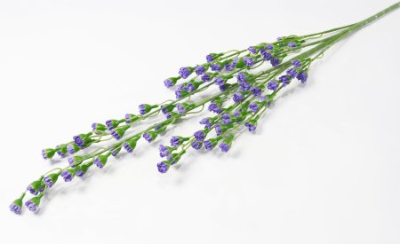 Ветка декоративная Фиоретти