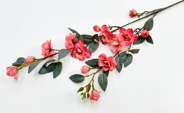 Сакура "Самурайский бутон"