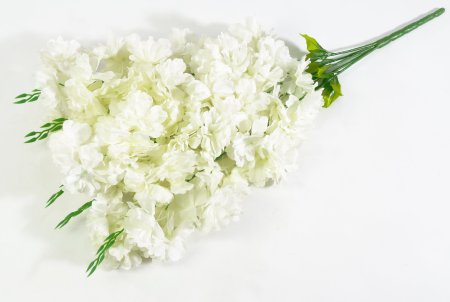 Ветка яблони "Неженка" 5 веток