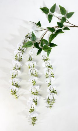 Ампельная декоративная ветка Ожерелье белая