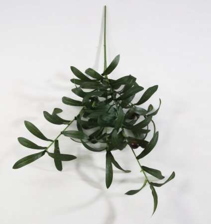 картинка Ветка оливы с ягодками от магазина KALINA