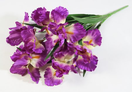 Букет ирисов садовых 7 цветков