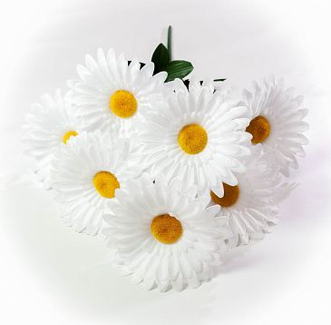 Ромашка "Пахучая" 7 цветков от магазина KALINA являющийся официальным дистрибьютором в России 
