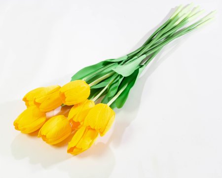 05a6496d01a7bef1a74a7fce4e2e5f57