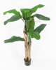 Куст банана 2 ствола 160 см БЕЗ КАШПО