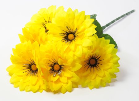 Георгин "Алинка" 6 цветков