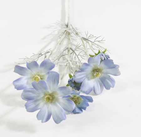 Ветка космеи голубая