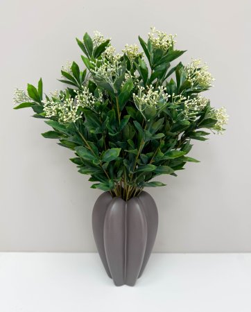 Каланхоэ белый