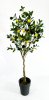 Лимонное дерево 160 см БЕЗ КАШПО