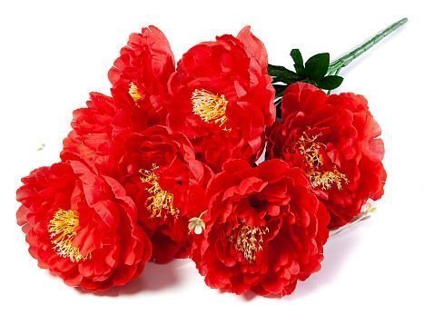 Букет пиона 7 цветков от магазина KALINA являющийся официальным дистрибьютором в России 