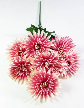 Хризантема "Танго" 7 цветков