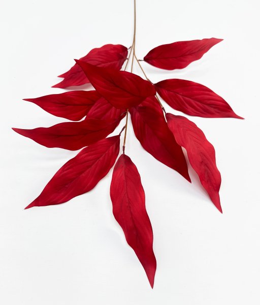 Аглаонема декоративная бордо